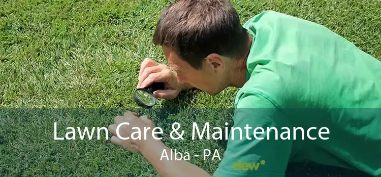 Lawn Care & Maintenance Alba - PA