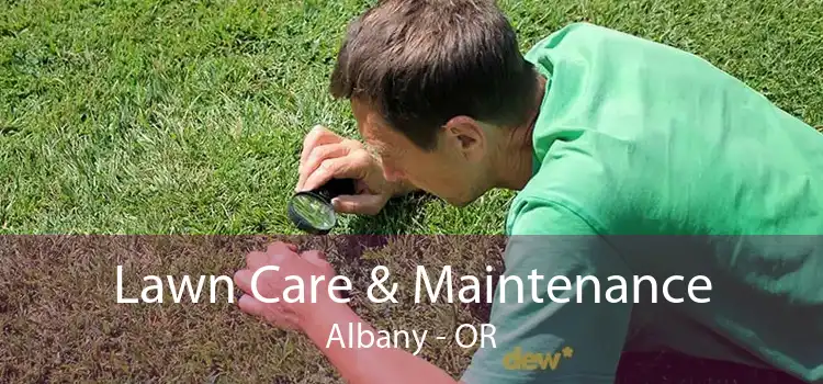 Lawn Care & Maintenance Albany - OR