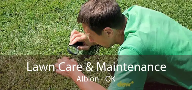 Lawn Care & Maintenance Albion - OK
