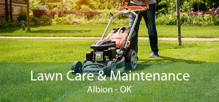 Lawn Care & Maintenance Albion - OK