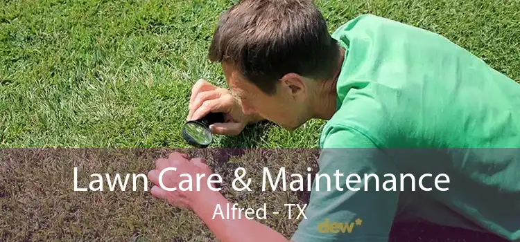 Lawn Care & Maintenance Alfred - TX