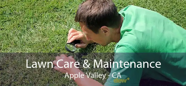 Lawn Care & Maintenance Apple Valley - CA