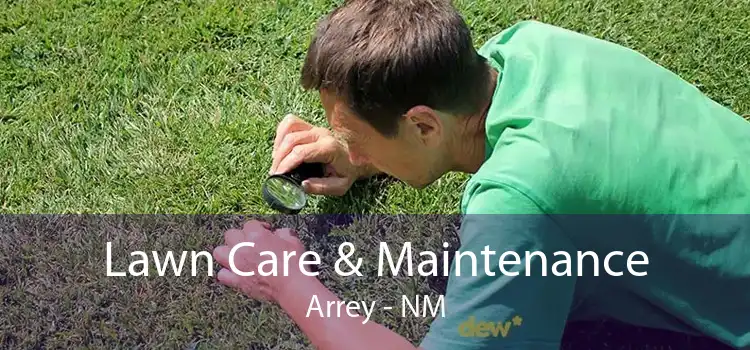Lawn Care & Maintenance Arrey - NM