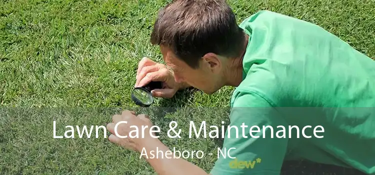 Lawn Care & Maintenance Asheboro - NC