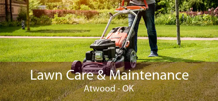 Lawn Care & Maintenance Atwood - OK