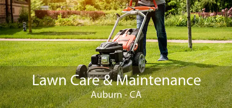 Lawn Care & Maintenance Auburn - CA