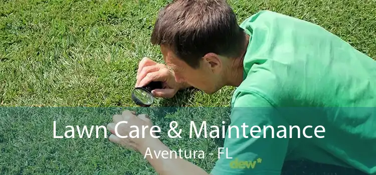 Lawn Care & Maintenance Aventura - FL