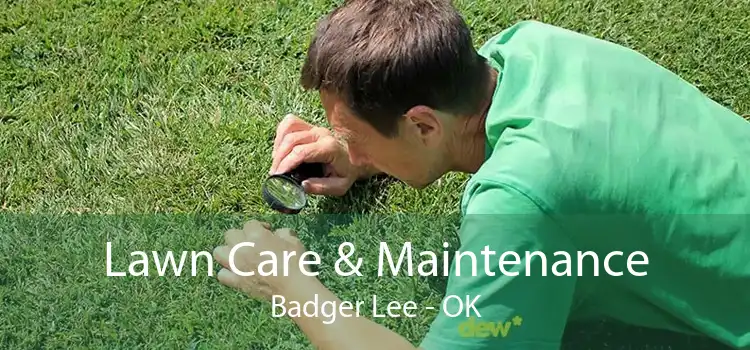 Lawn Care & Maintenance Badger Lee - OK
