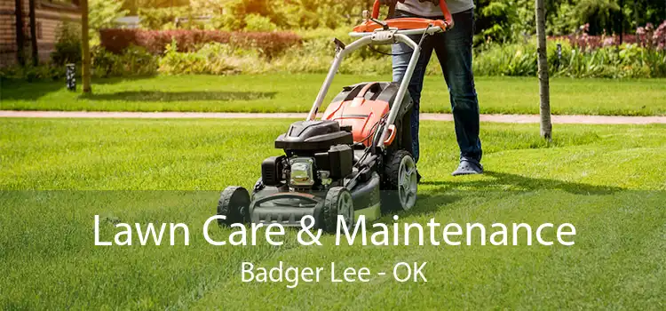  Lawn Care & Maintenance Badger Lee - OK