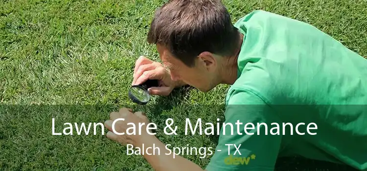 Lawn Care & Maintenance Balch Springs - TX