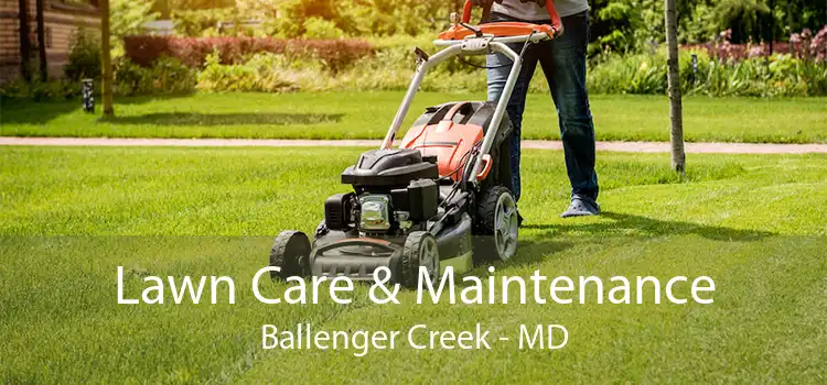 Lawn Care & Maintenance Ballenger Creek - MD