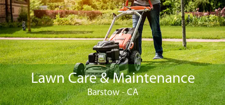 Lawn Care & Maintenance Barstow - CA