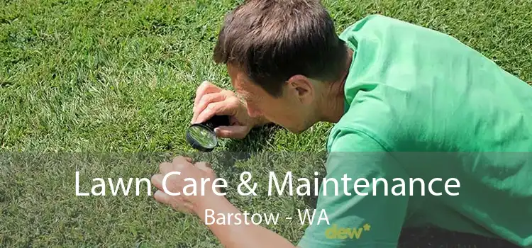 Lawn Care & Maintenance Barstow - WA