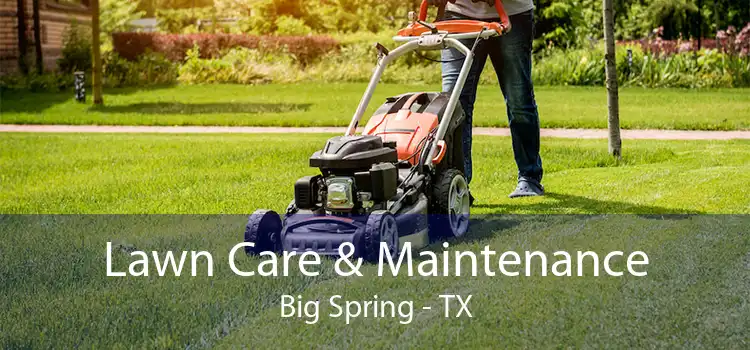 Lawn Care & Maintenance Big Spring - TX