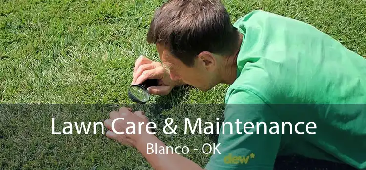 Lawn Care & Maintenance Blanco - OK