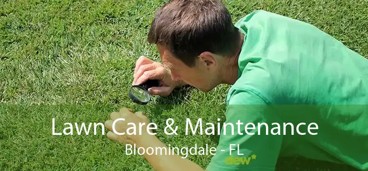 Lawn Care & Maintenance Bloomingdale - FL