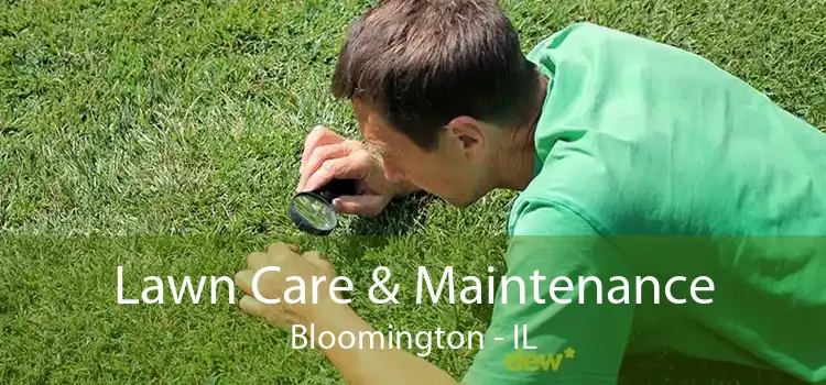 Lawn Care & Maintenance Bloomington - IL