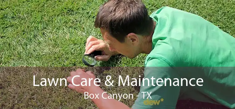 Lawn Care & Maintenance Box Canyon - TX