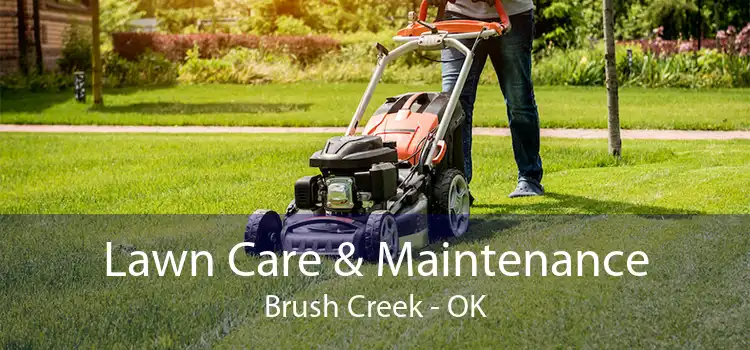 Lawn Care & Maintenance Brush Creek - OK