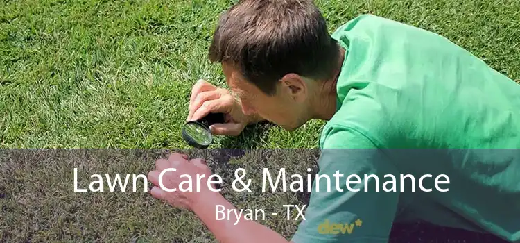 Lawn Care & Maintenance Bryan - TX