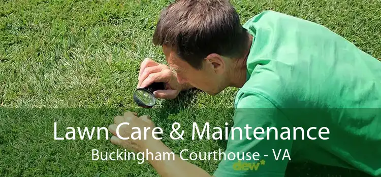 Lawn Care & Maintenance Buckingham Courthouse - VA