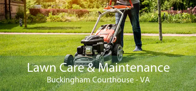 Lawn Care & Maintenance Buckingham Courthouse - VA