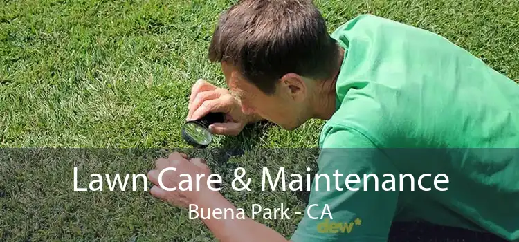 Lawn Care & Maintenance Buena Park - CA