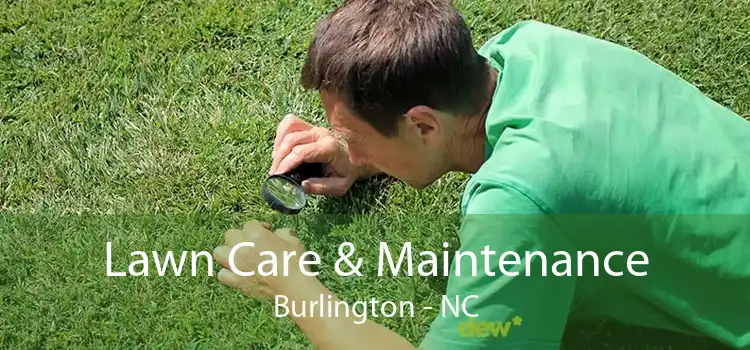 Lawn Care & Maintenance Burlington - NC