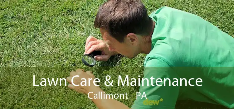 Lawn Care & Maintenance Callimont - PA