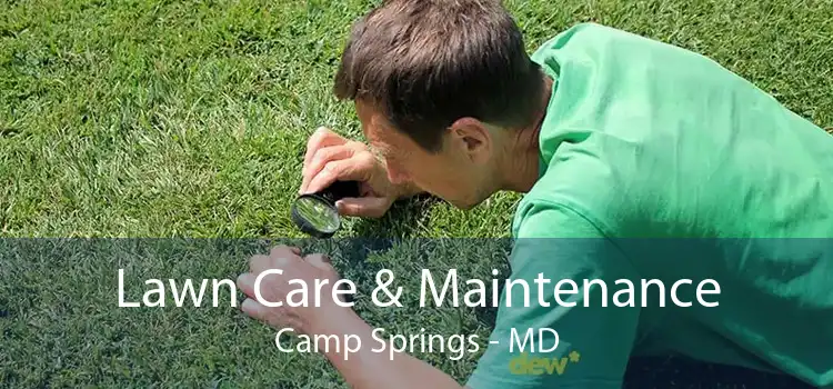 Lawn Care & Maintenance Camp Springs - MD