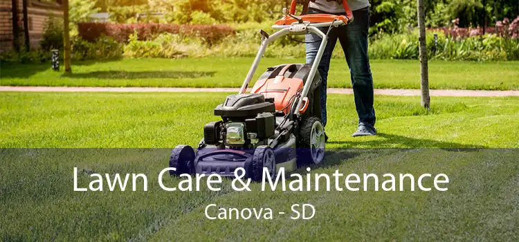 Lawn Care & Maintenance Canova - SD