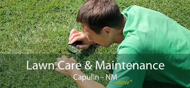 Lawn Care & Maintenance Capulin - NM