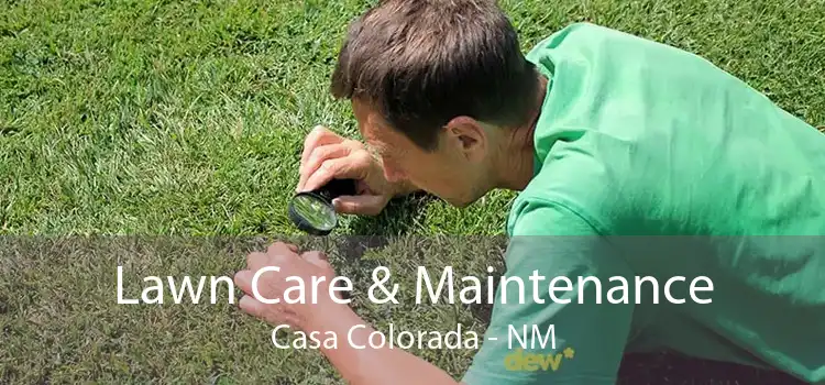 Lawn Care & Maintenance Casa Colorada - NM