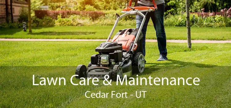 Lawn Care & Maintenance Cedar Fort - UT