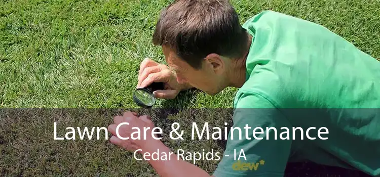 Lawn Care & Maintenance Cedar Rapids - IA