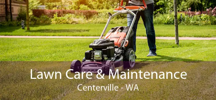 Lawn Care & Maintenance Centerville - WA