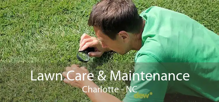 Lawn Care & Maintenance Charlotte - NC