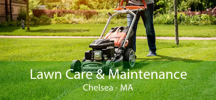  Lawn Care & Maintenance Chelsea - MA
