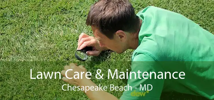 Lawn Care & Maintenance Chesapeake Beach - MD