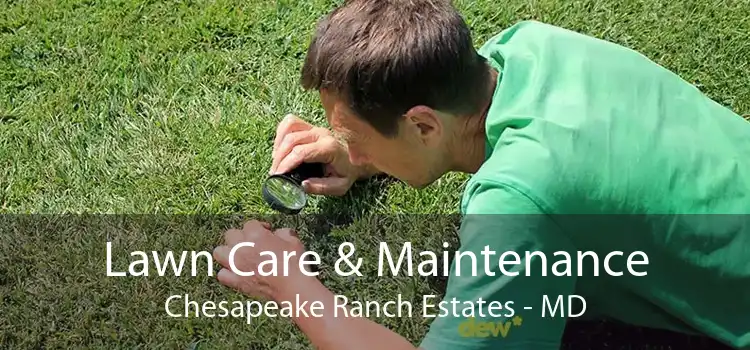 Lawn Care & Maintenance Chesapeake Ranch Estates - MD