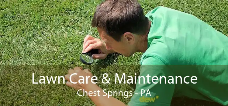 Lawn Care & Maintenance Chest Springs - PA