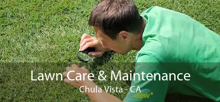 Lawn Care & Maintenance Chula Vista - CA