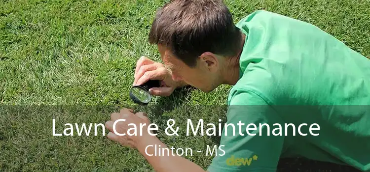 Lawn Care & Maintenance Clinton - MS