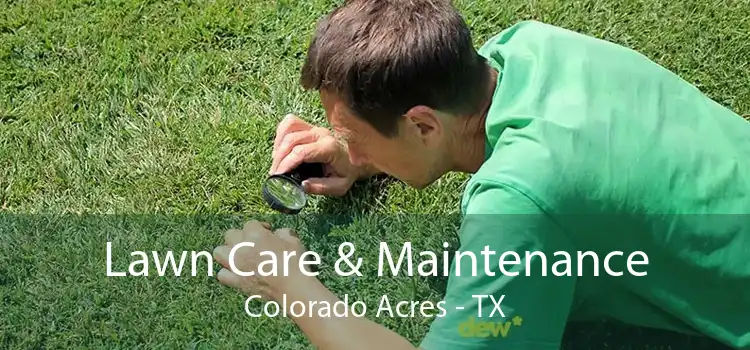 Lawn Care & Maintenance Colorado Acres - TX