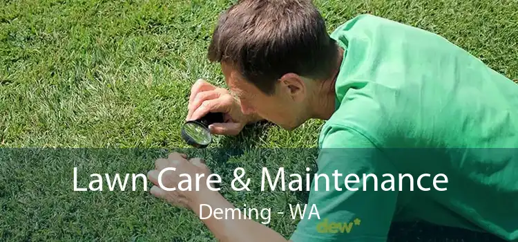 Lawn Care & Maintenance Deming - WA