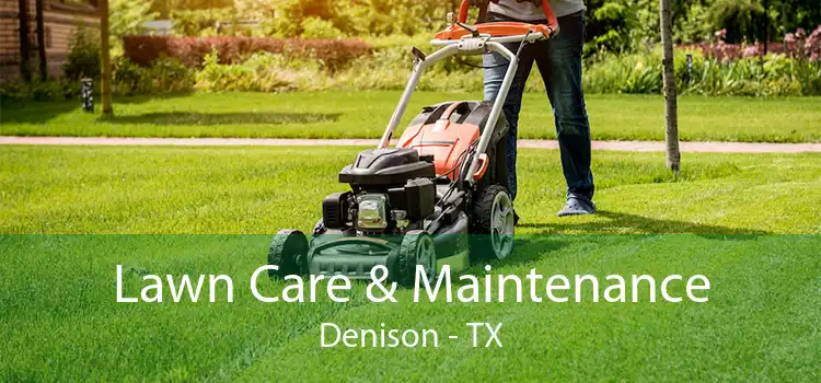 Lawn Care & Maintenance Denison - TX