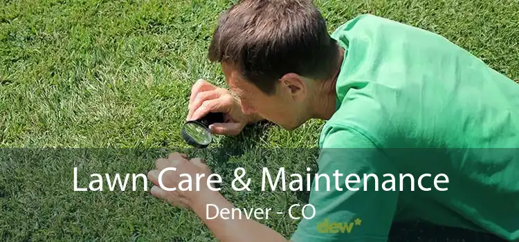 Lawn Care & Maintenance Denver - CO