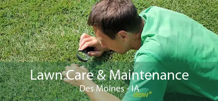 Lawn Care & Maintenance Des Moines - IA