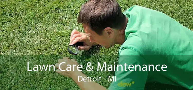 Lawn Care & Maintenance Detroit - MI