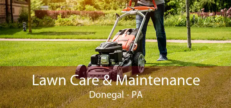  Lawn Care & Maintenance Donegal - PA